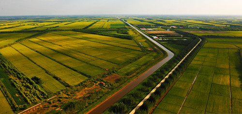 绥滨农场现代农业观光景区（国家AAA级景区）